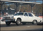 DSC_0777.JPG