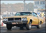 DSC_0781.JPG