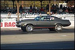 DSC_0803.JPG