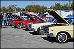 DSC_0202.JPG