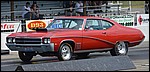 DSC_0219.JPG