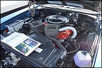DSC_0137.JPG