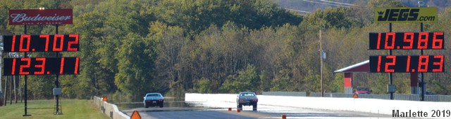 DSC_0230.JPG