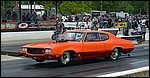 DSC_0379.JPG