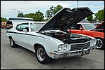 DSC_0882.JPG