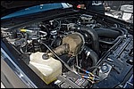 DSC_0080.JPG