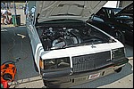 DSC_0291.JPG