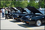 DSC_0382.JPG