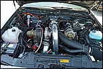 DSC_0421.JPG